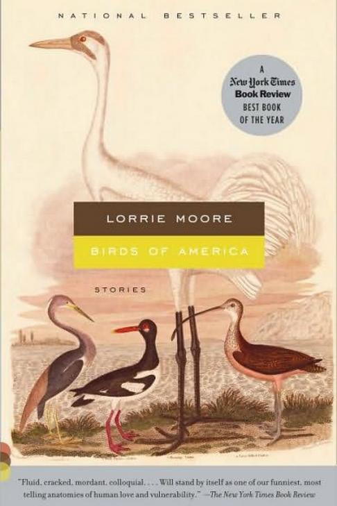 Aves of America by Lorrie Moore
