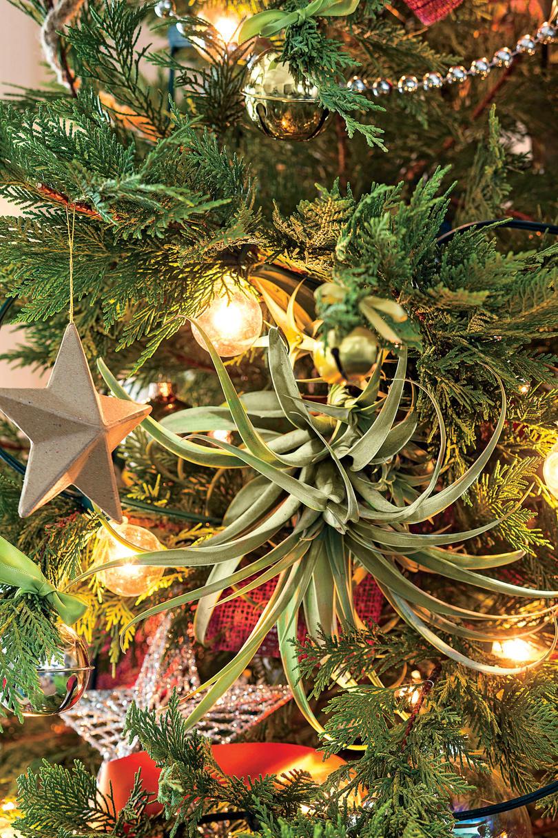テキサス州 Star Christmas Tree