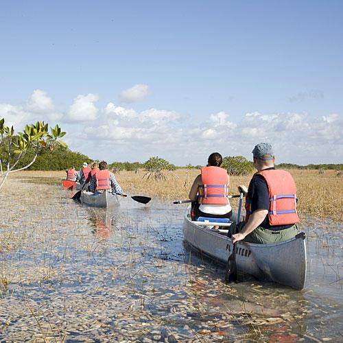 Florida Everglades: Lake Okeechobee