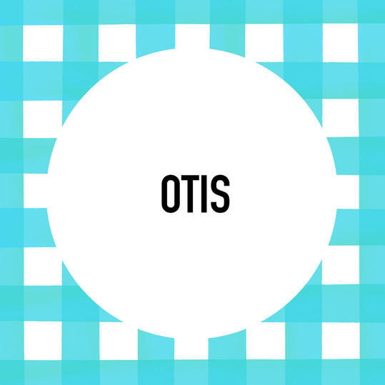جنوبي Pet Name: Otis