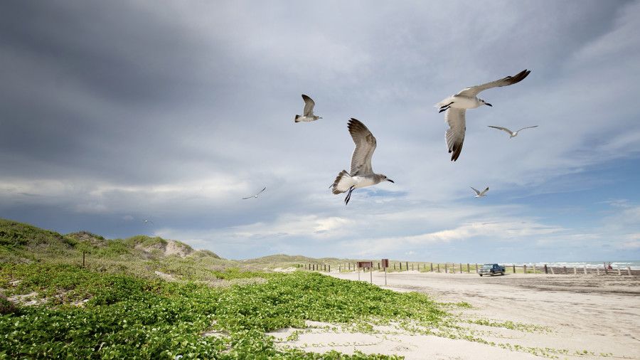 Capellán Island National Seashore, Texas