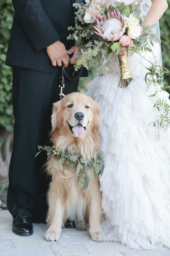 ال Top Wedding Trends for 2017 Puppies