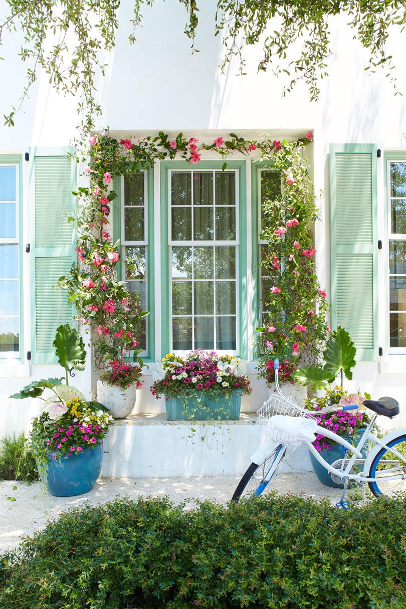 Verde Shutter with Pink Flowers and Bicycle
