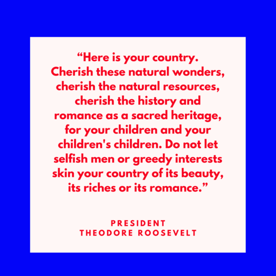 Præsident Theodore Roosevelt on America