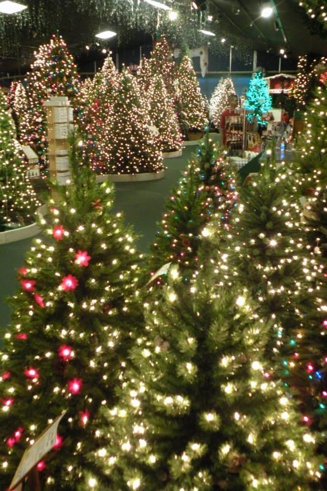 クリスマス Shops Open All Year Long Robert's Christmas Wonderland