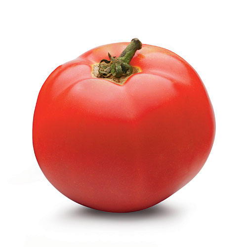زهري Tomatoes