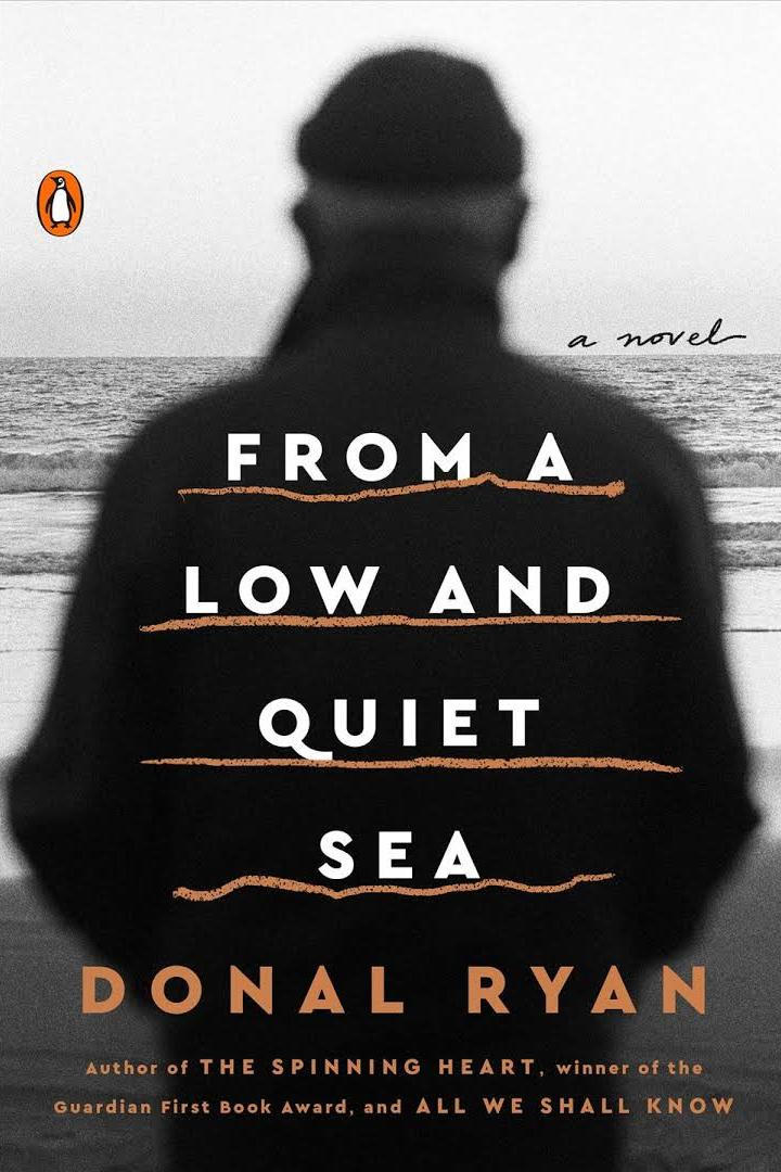 от a Low and Quiet Sea by Donal Ryan