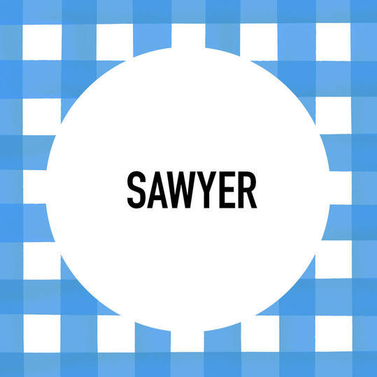 جنوبي Pet Name: Sawyer