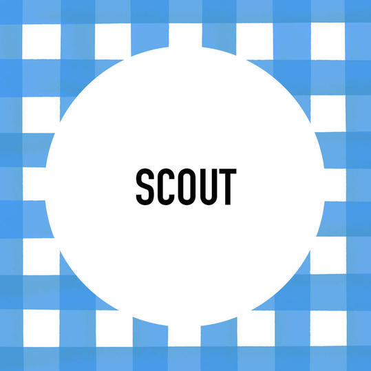 جنوبي Pet Name: Scout