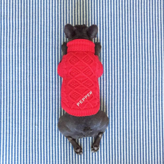 ريس Witherspoon's Dog pepper in Red Sweater