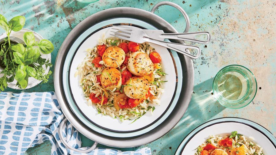Seared Scallops with Fresh Tomato-Basil Sauce and Orzo
