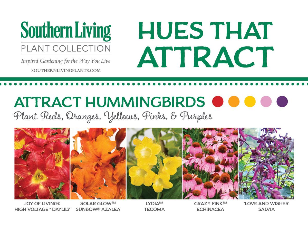 Las flores that Attract Hummingbirds