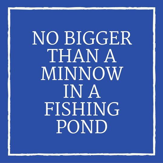 No Bigger Than a Minnow in a Fishing Pond