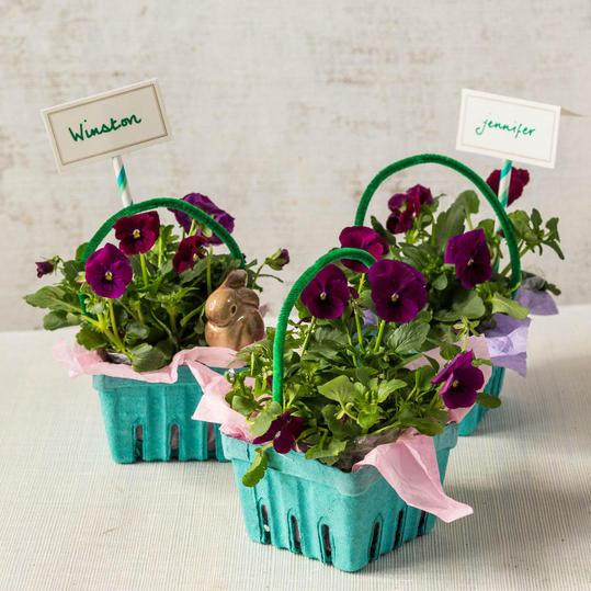 Planter in DIY Easter Basket