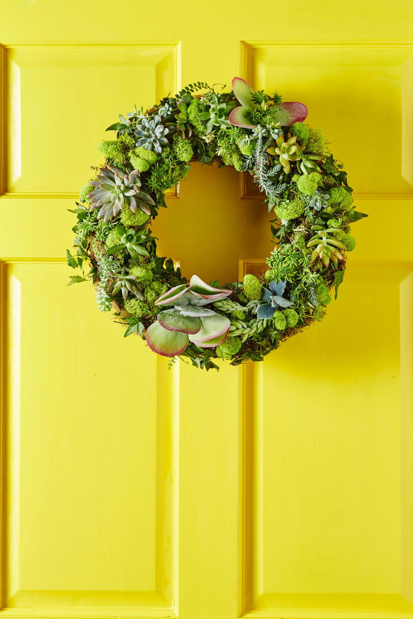 Žlutá Door Succulent Wreaths
