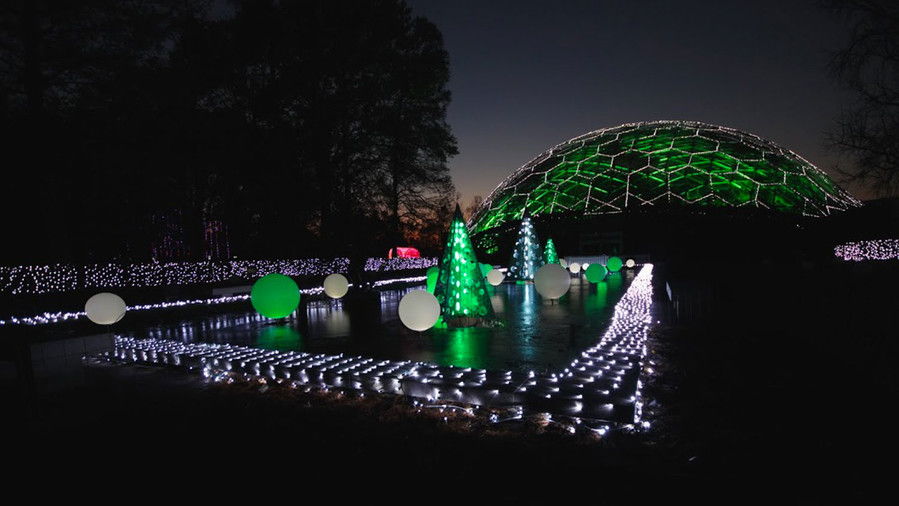 حديقة Glow at the Missouri Botanical Garden