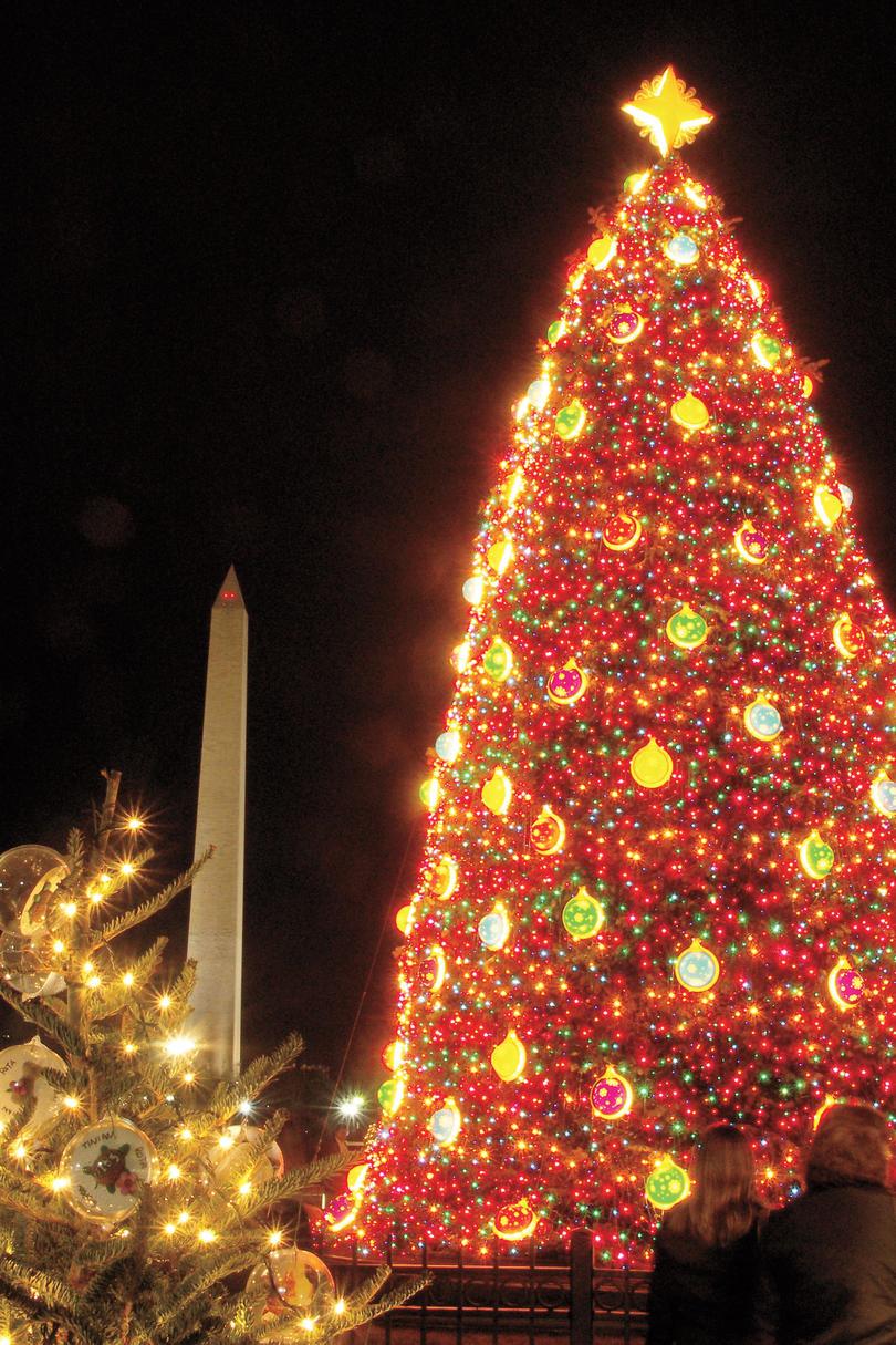 Del Sur Christmas Vacations: National Christmas Tree