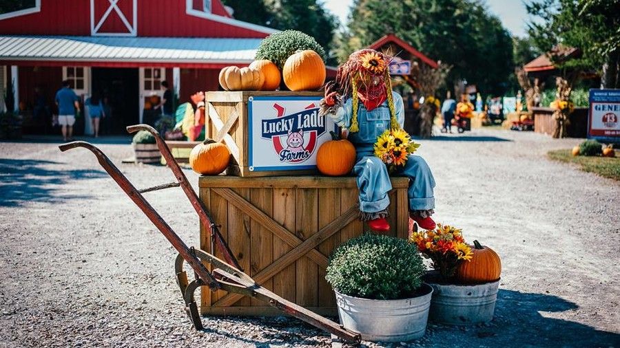Mejor Pumpkin Patches in Every Southern State Tennessee