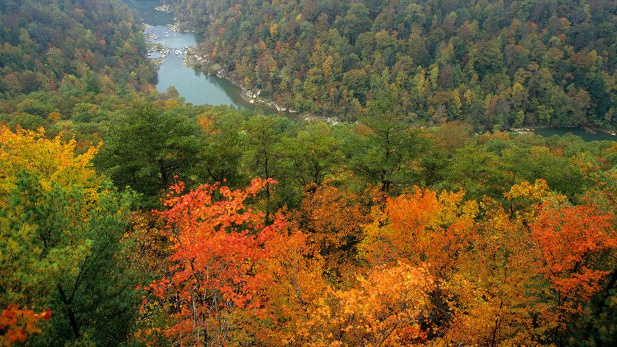 كبير South Fork National River and Recreation Area Fall Color