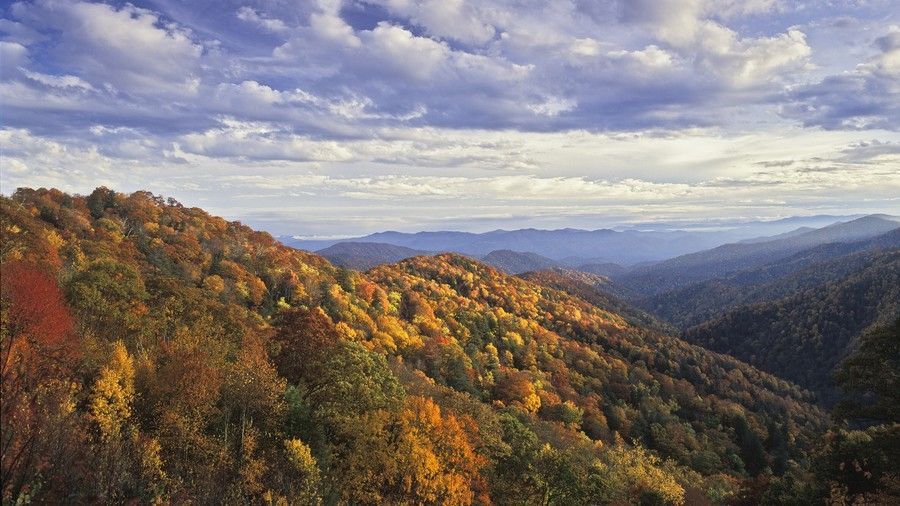 素晴らしい Smoky Mountains National Park Fall Color