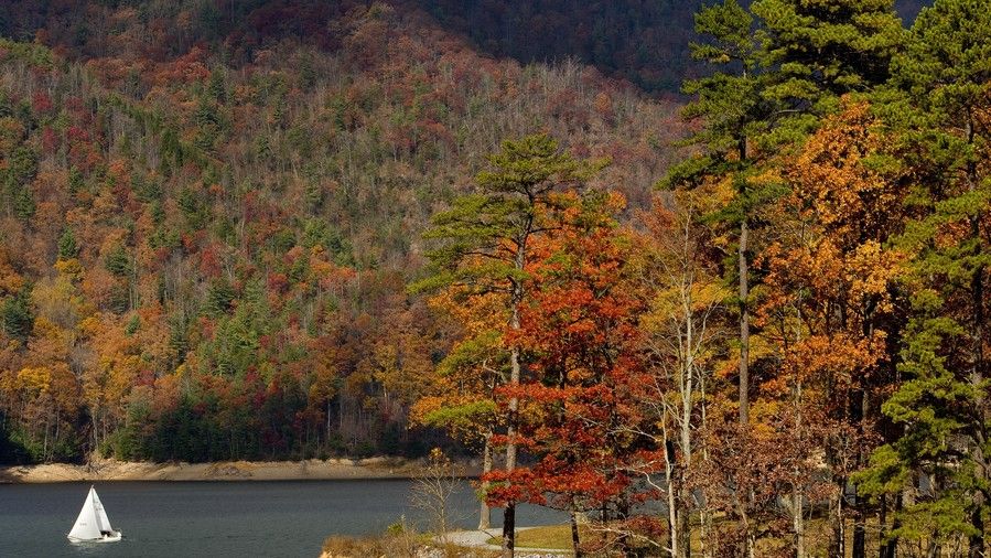 ワタウガ Lake Fall Color