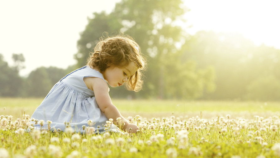 فتاة picking flowers in field
