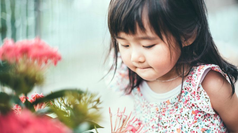 طفل صغير girl smelling a red flower
