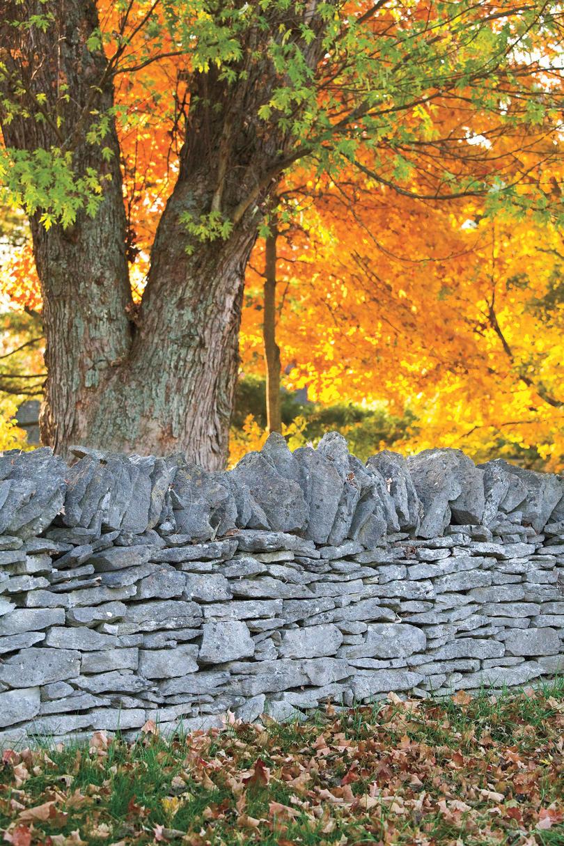 Piedra Fences throughout Bourbon Country