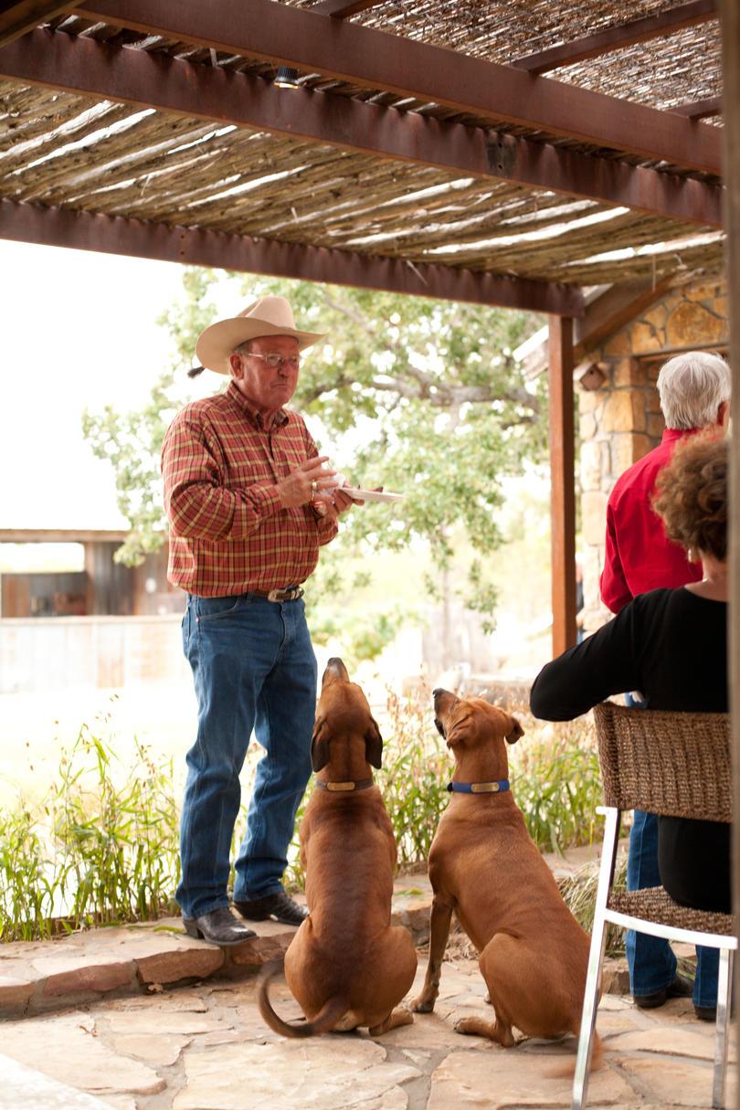 dos dogs withing for man in cowboy hat to drop food