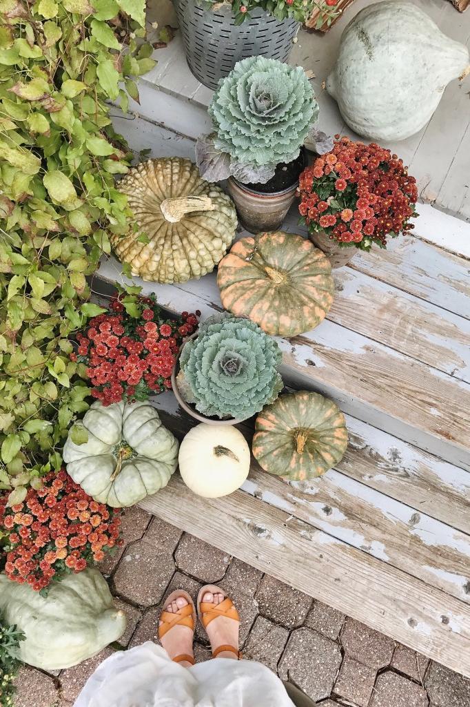 20 Incredible Ways to Decorate with Pumpkins This Fall Pick The Ugly Ducklings
