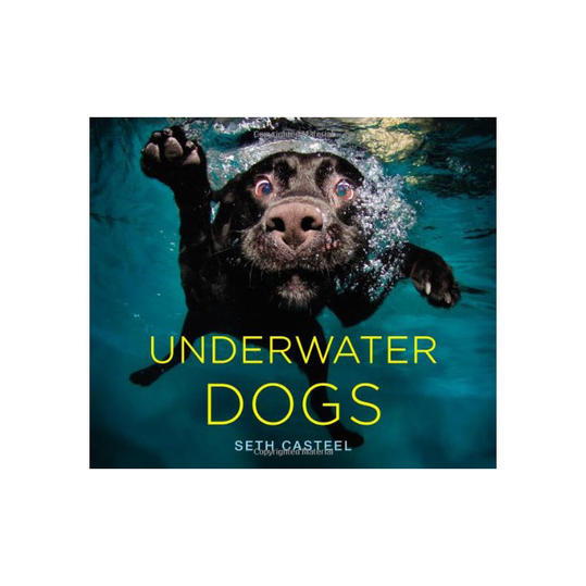 Submarino Dogs