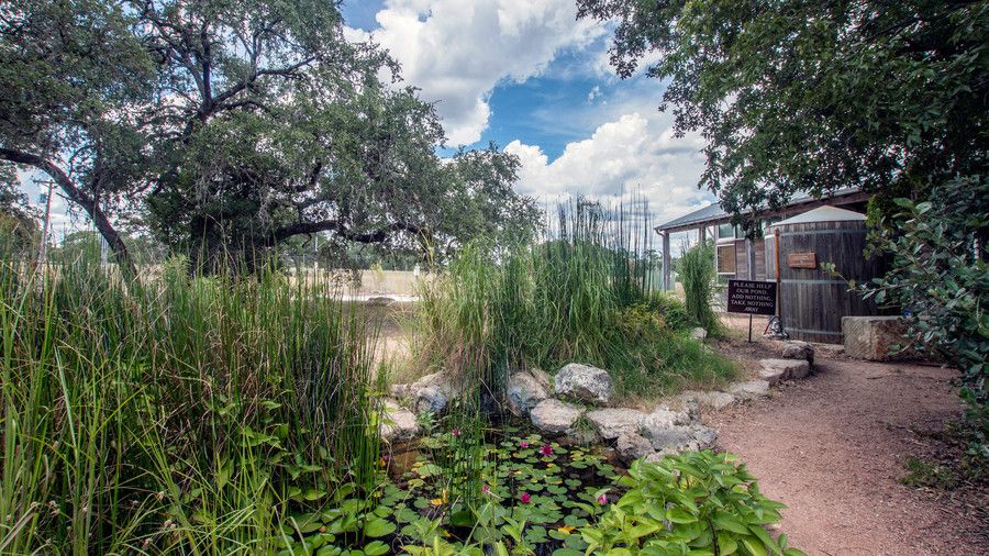 Cibolo Nature Center and Farm Texas