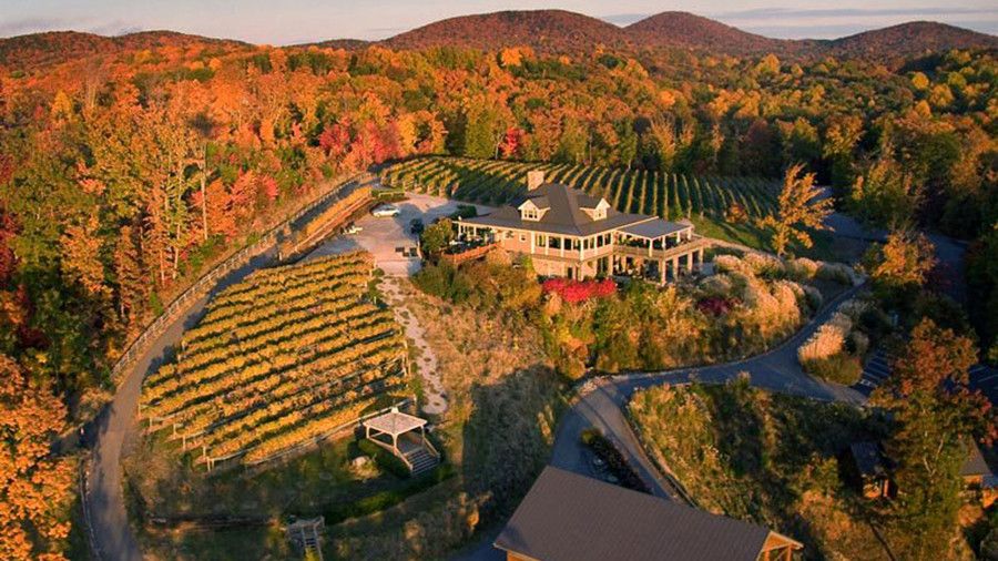 Georgiens Wine Country Aerial Shot