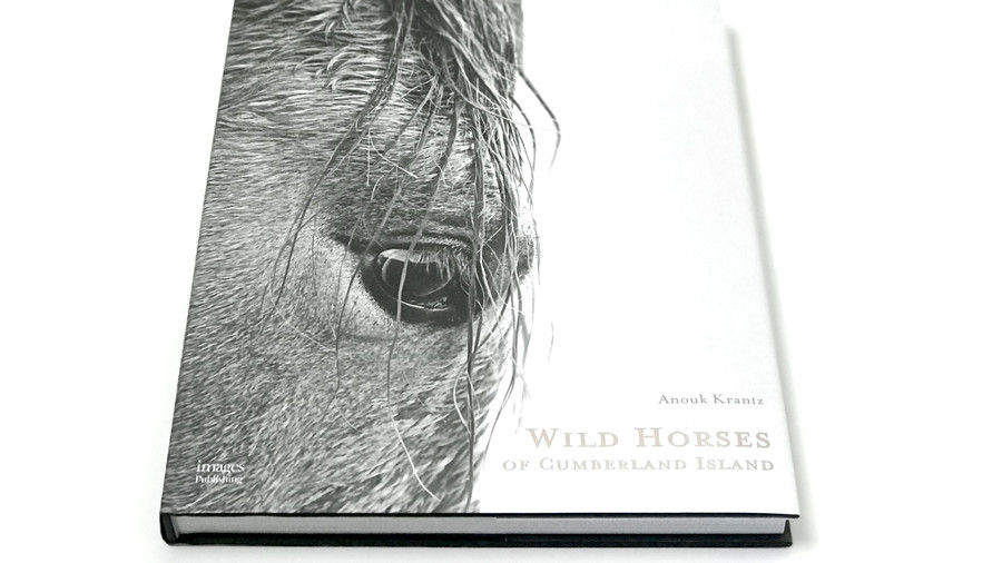 ワイルド Horses of Cumberland Island, hardcover book
