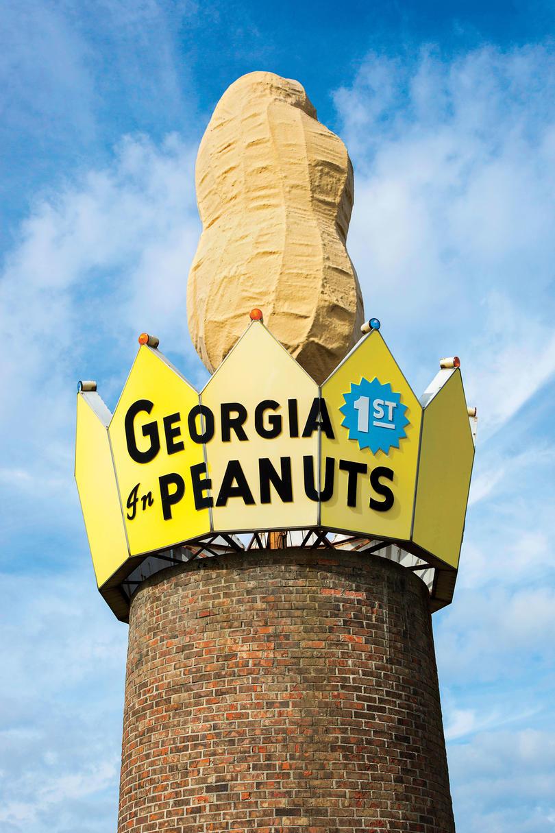 Mundo's Largest Peanut in Ashburn, GA