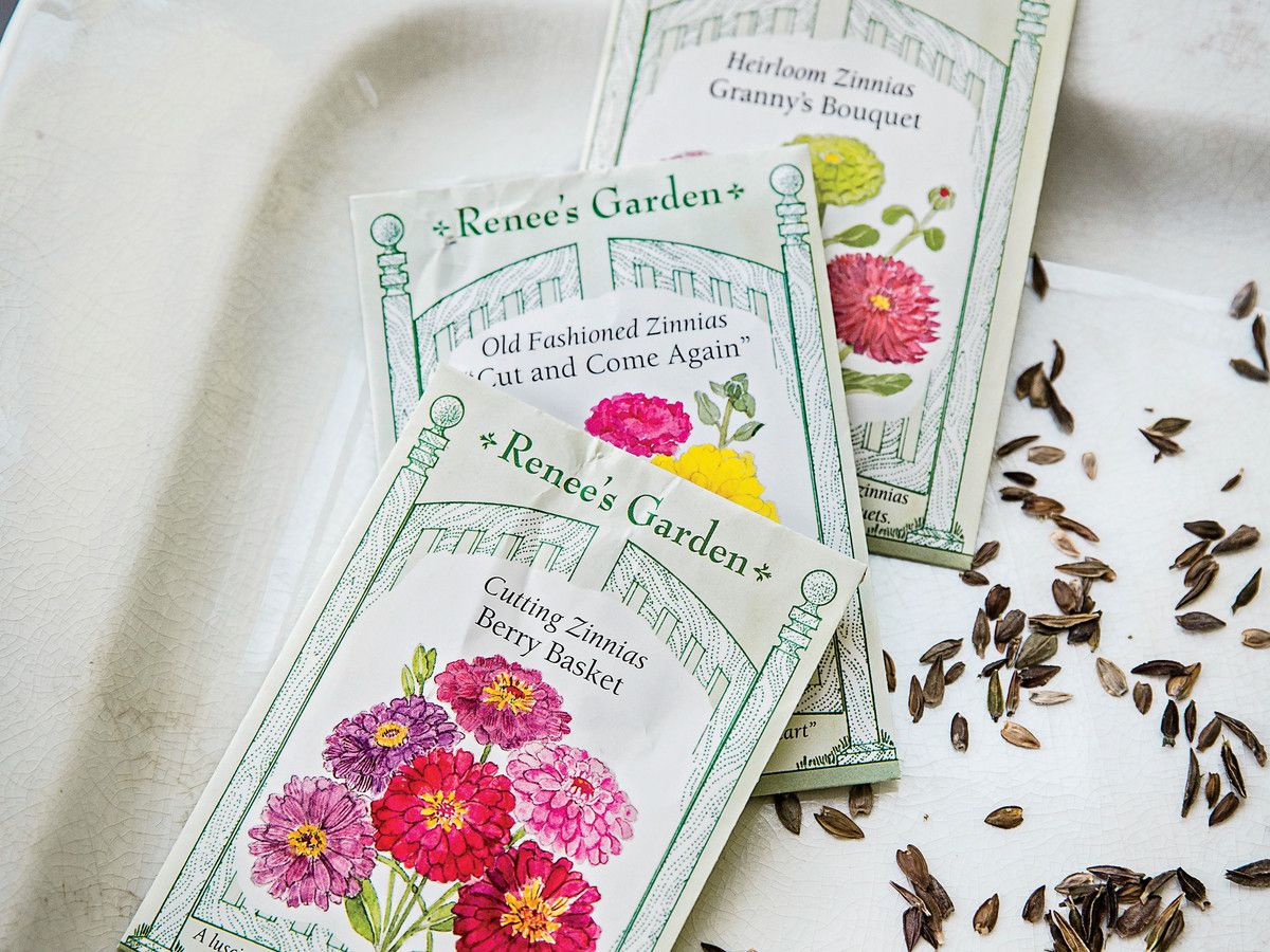 Zinnia Seed Packets